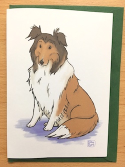 Rough Haired Collie