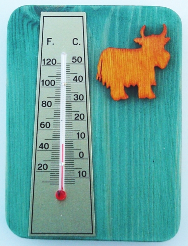 Mini Heilin Coo Thermometer