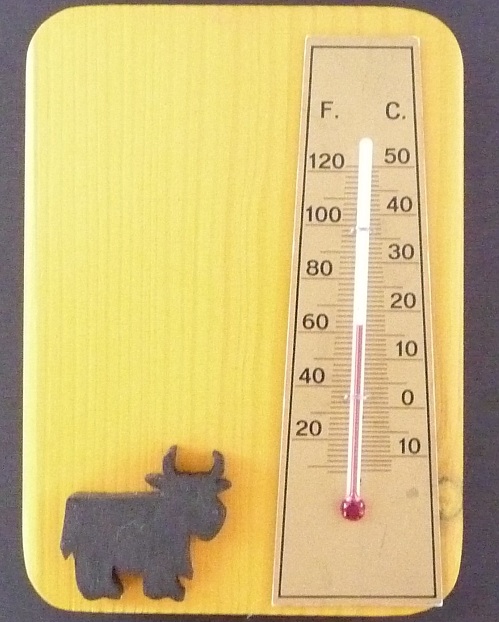 Mini Heilin Coo Thermometer